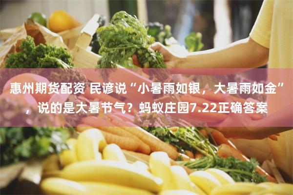 惠州期货配资 民谚说“小暑雨如银,大暑雨如金”,说的是大暑节气?蚂蚁庄园7.22正确答案