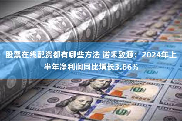 股票在线配资都有哪些方法 诺禾致源:2024年上半年净利润同比增长3.86%