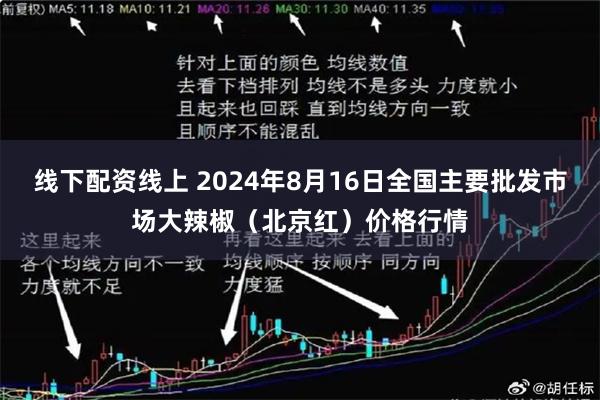 线下配资线上 2024年8月16日全国主要批发市场大辣椒(北京红)价格行情