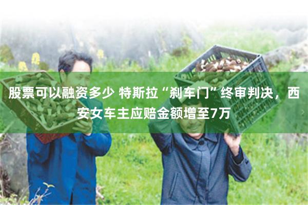 股票可以融资多少 特斯拉“刹车门”终审判决,西安女车主应赔金额增至7万