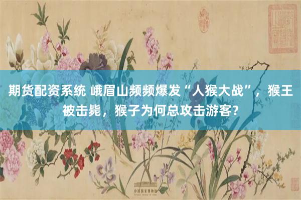 期货配资系统 峨眉山频频爆发“人猴大战”,猴王被击毙,猴子为何总攻击游客?