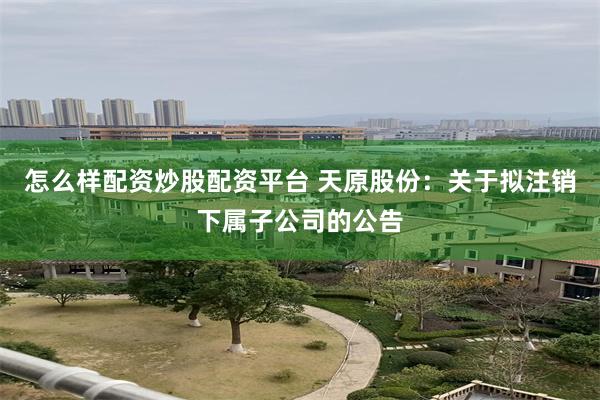 怎么样配资炒股配资平台 天原股份：关于拟注销下属子公司的公告