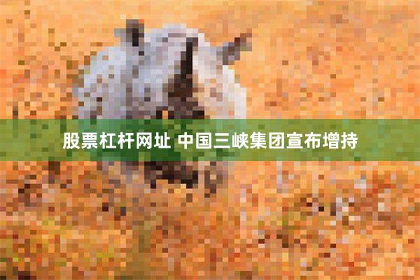 股票杠杆网址 中国三峡集团宣布增持