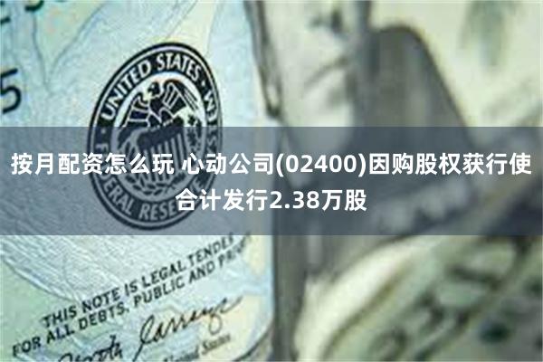 按月配资怎么玩 心动公司(02400)因购股权获行使合计发行2.38万股