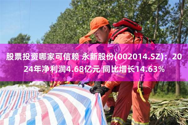 股票投资哪家可信赖 永新股份(002014.SZ):2024年净利润4.68亿元 同比增长14.63%