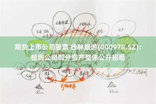 期货上市公司股票 桂林旅游(000978.SZ):桂圳公司部分资产整体公开招租