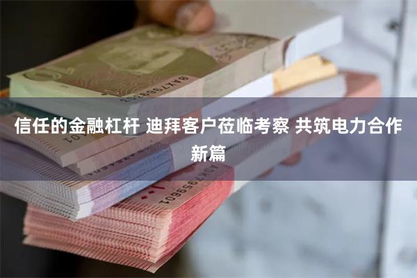信任的金融杠杆 迪拜客户莅临考察 共筑电力合作新篇