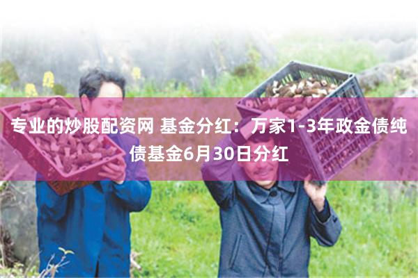 专业的炒股配资网 基金分红：万家1-3年政金债纯债基金6月30日分红