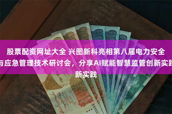 股票配资网址大全 兴图新科亮相第八届电力安全与应急管理技术研讨会,分享AI赋能智慧监管创新实践
